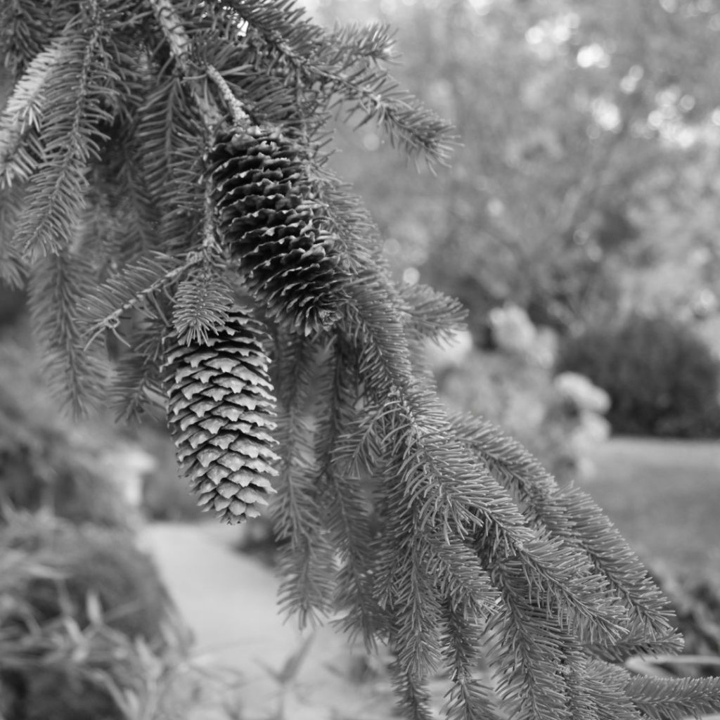 de herfst is in aantocht